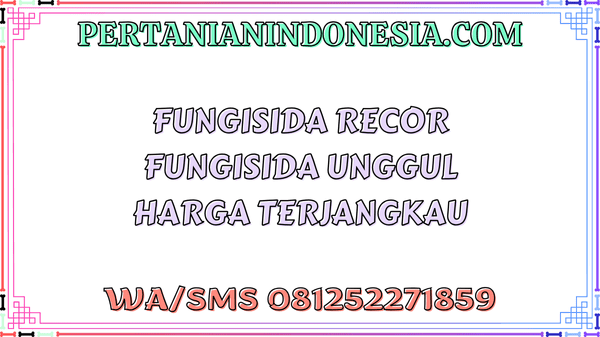 Fungisida Recor Fungisida Unggul Harga Terjangkau